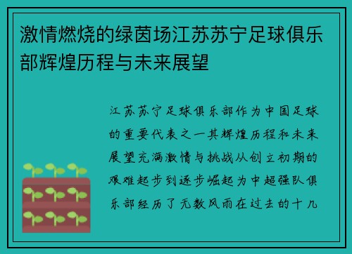 激情燃烧的绿茵场江苏苏宁足球俱乐部辉煌历程与未来展望