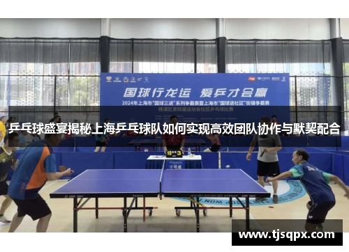 乒乓球盛宴揭秘上海乒乓球队如何实现高效团队协作与默契配合