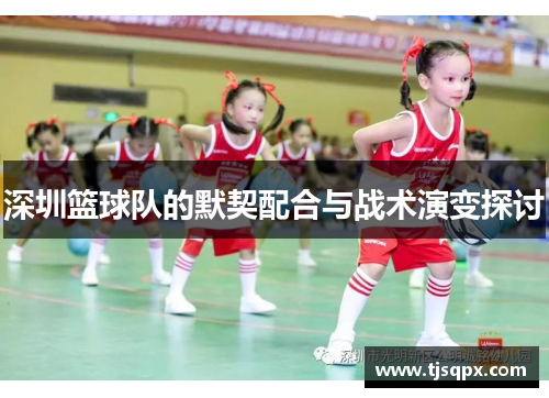 深圳篮球队的默契配合与战术演变探讨