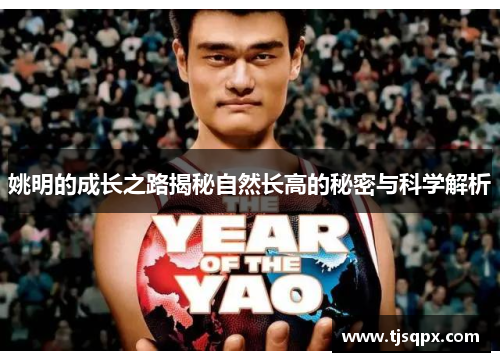 姚明的成长之路揭秘自然长高的秘密与科学解析